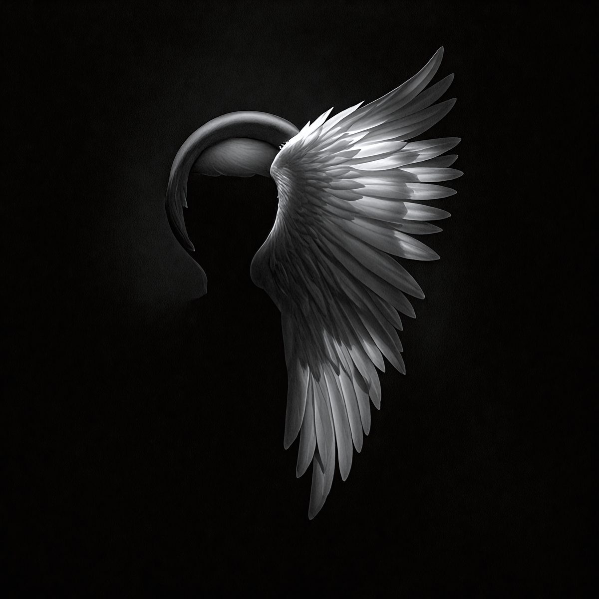 9242 - the-angel-and-the-shadow-a-luminous-angel-wing-contra_250708093156_00001.png